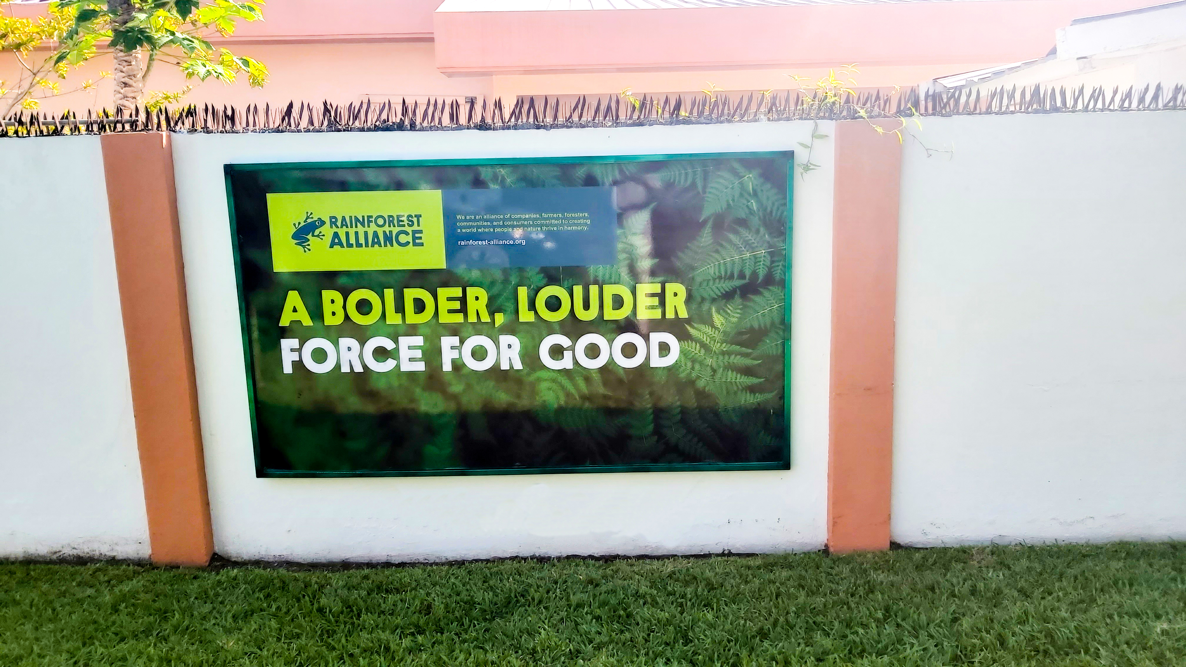 Creative Design Illustration