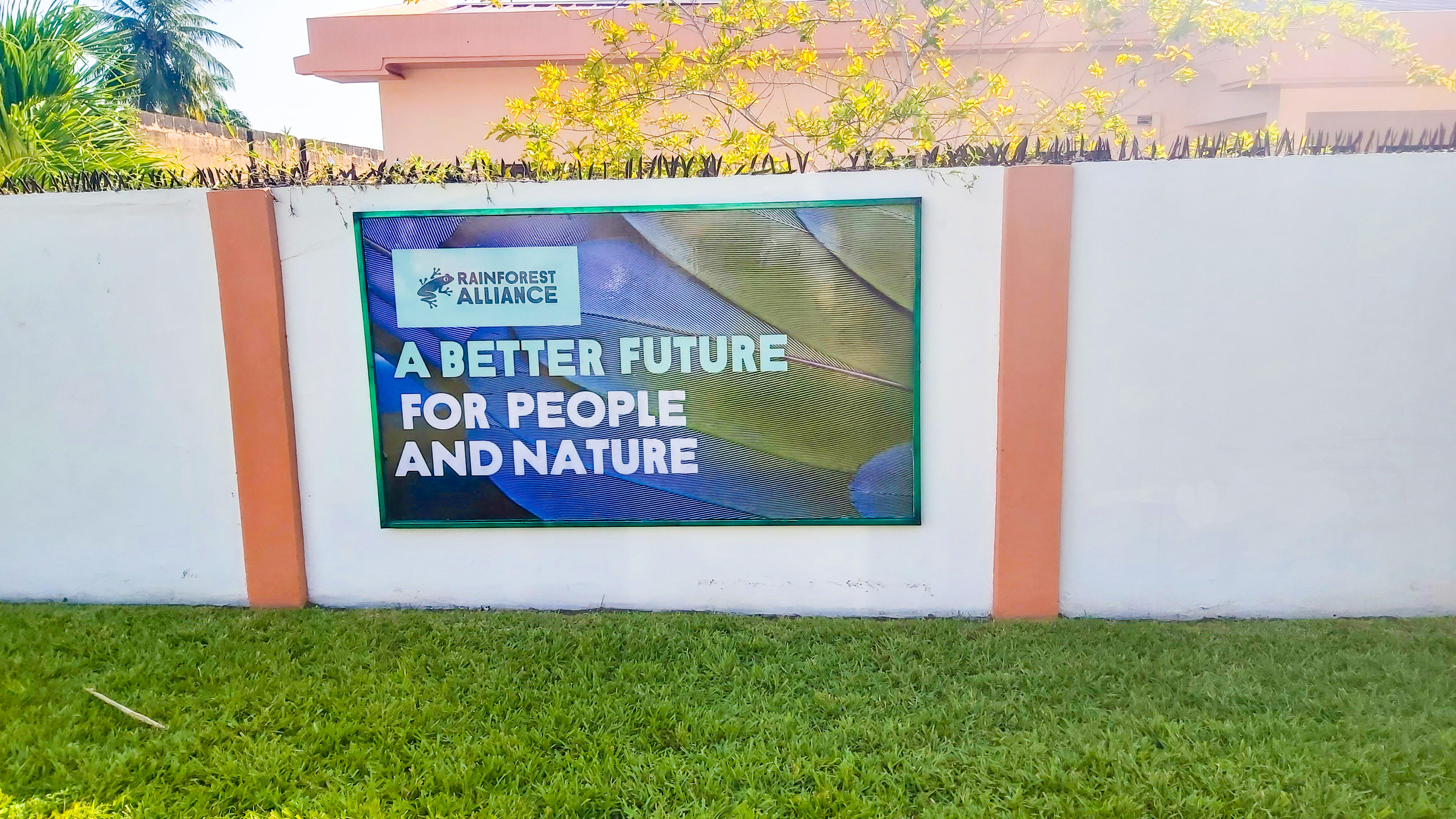 Creative Design Illustration